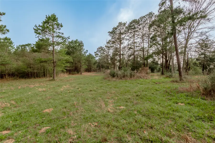 14254 Cr 2080, Crockett, TX 75835 - #2