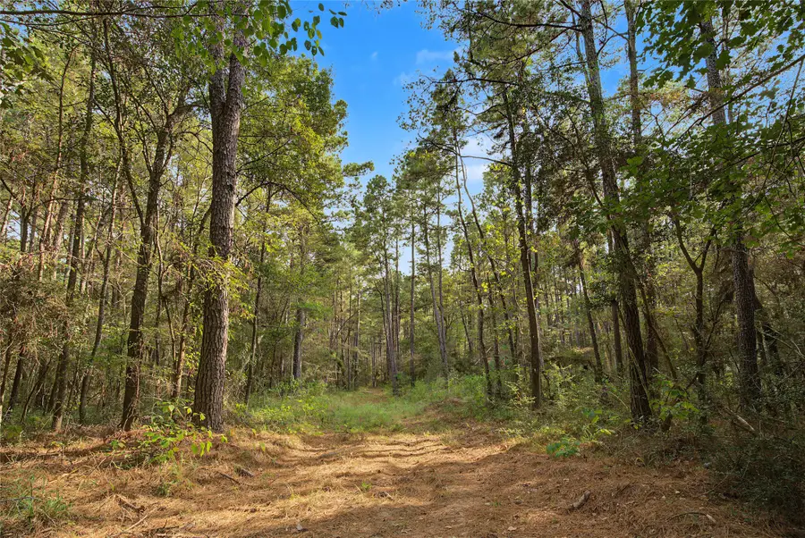 TBD Fm 980, Huntsville, TX 77340 - #3