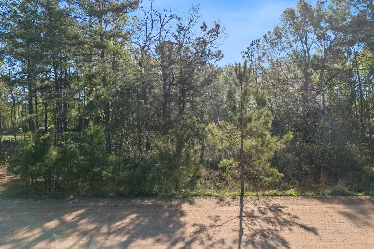 3941 Highline Oaks W, Conroe, TX 77306 - #1