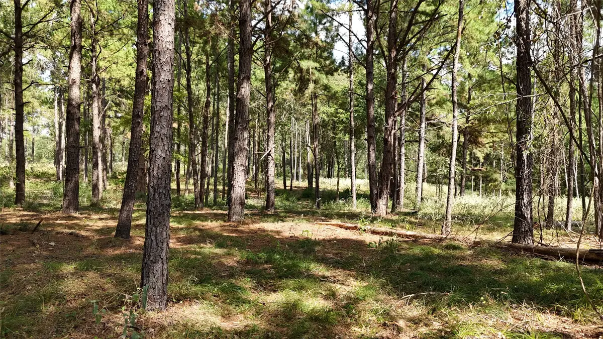 TBD Cherokee Trail, Lovelady, TX 77851 - #1