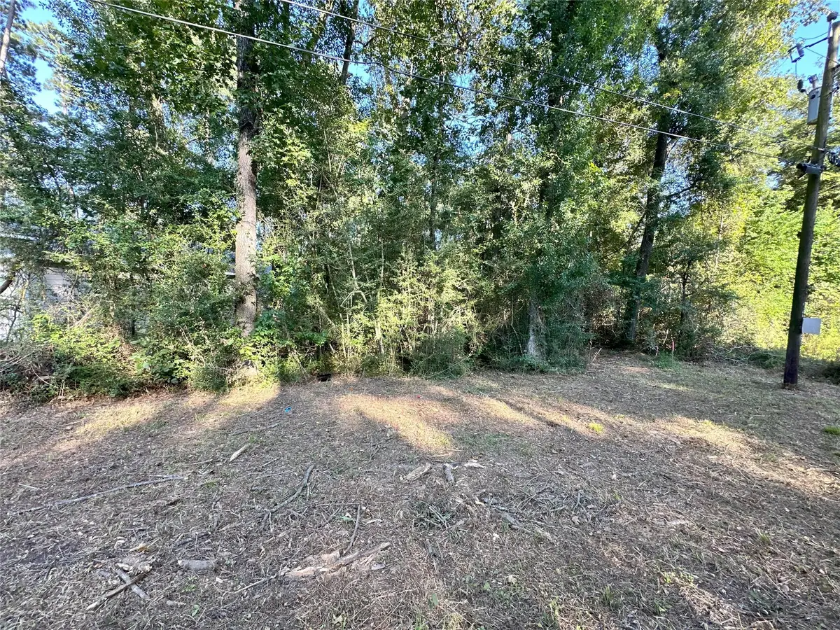 0 Kickapoo Trail, Willis, TX 77378 - Image #1