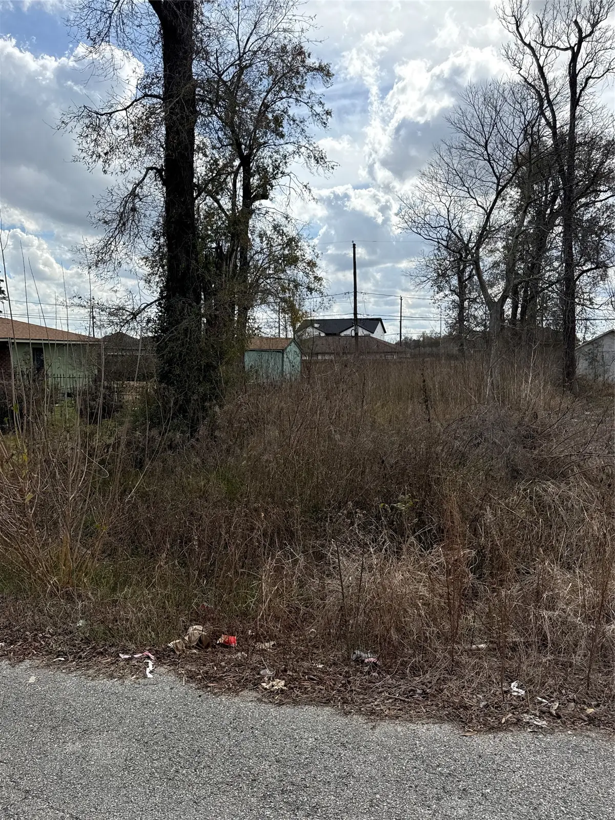 8538 Homewood Lane, Houston, TX 77028 - Image #1