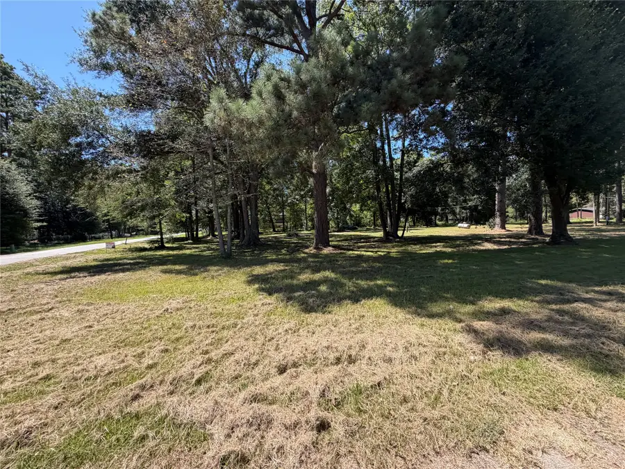 180 Pine Burr Court, Cleveland, TX 77327 - #3