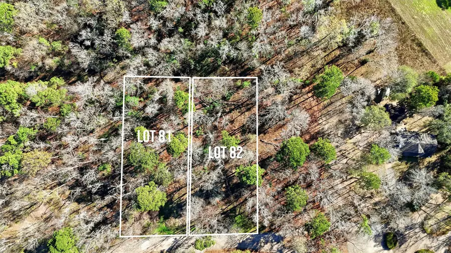 Lots 81 & 82 Lake Oaks Circle, Coldspring, TX 77331 - #3