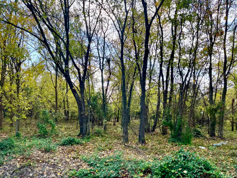 00 Leago Street, Houston, TX 77022 - Image #3