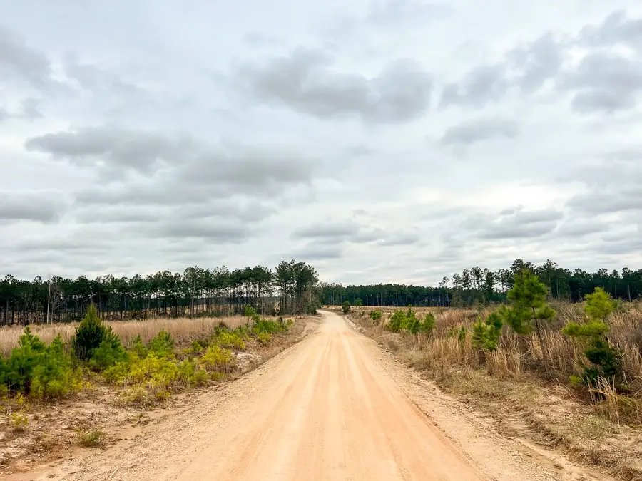 3A Hardin Hideout Rd, Moscow, TX 75960 - #3