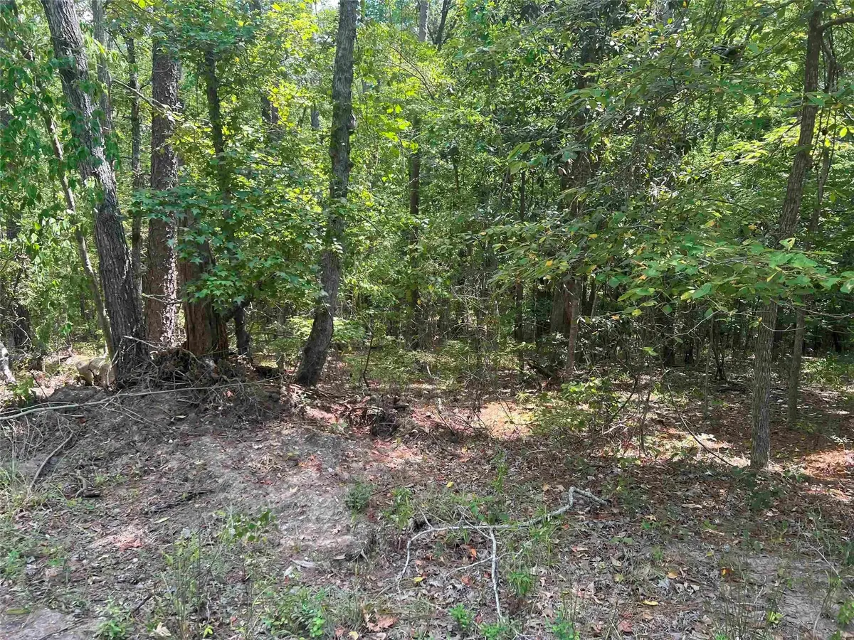 57 Shank Drive, Brookeland, TX 75931 - Image #1