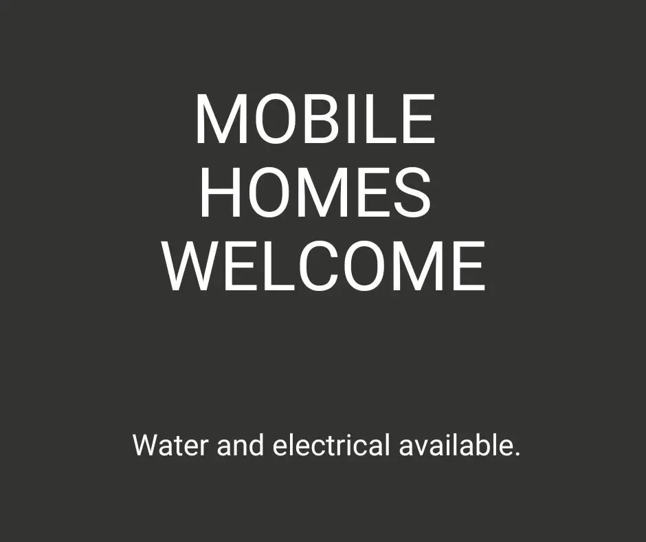 175 Lakeview Lane, Shepherd, TX 77371 - Image #1