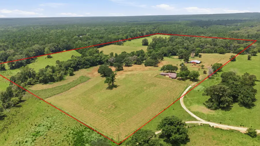 931 Private Road 5140, Grapeland, TX 75844 - #2