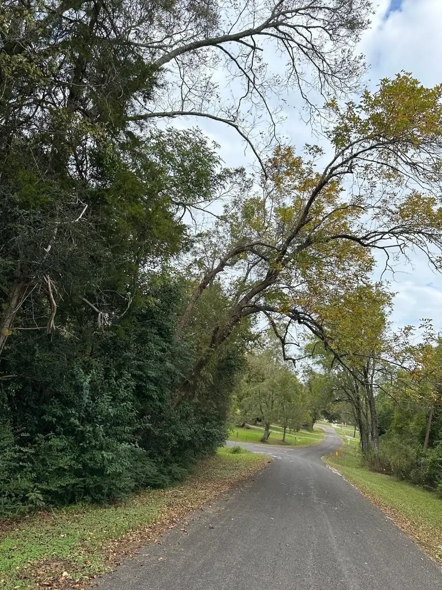 0 Reeves Cemetery Road, Old River Winfree, TX 77535 - Image #2