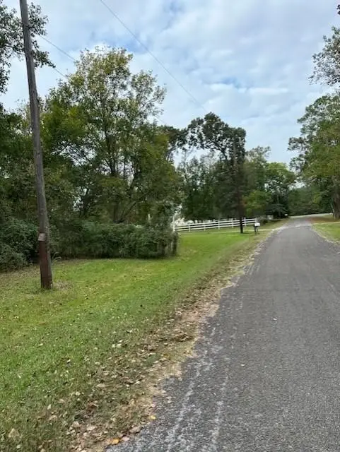 0 Reeves Cemetery Road, Old River Winfree, TX 77535 - Image #3
