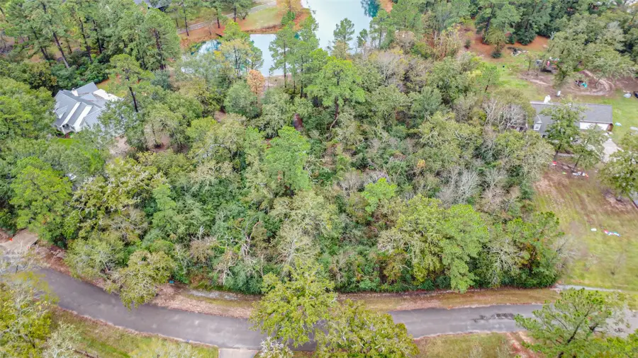 37807 Galleria Oaks Lane, Magnolia, TX 77354 - Image #3