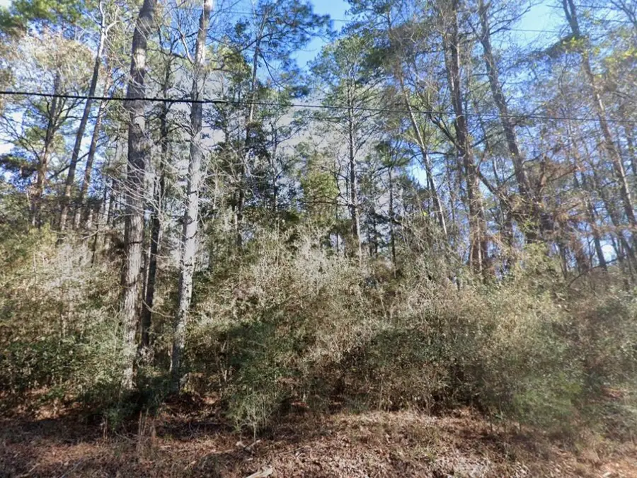 0 Big Sandy Road N, Warren, TX 77664 - Image #3