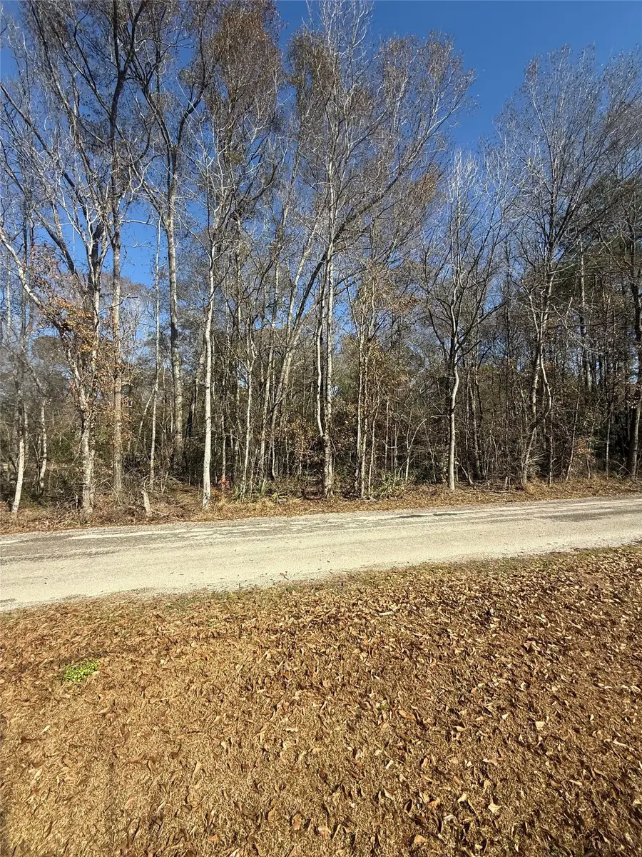 TBD County Road 3669c, Splendora, TX 77327 - #2