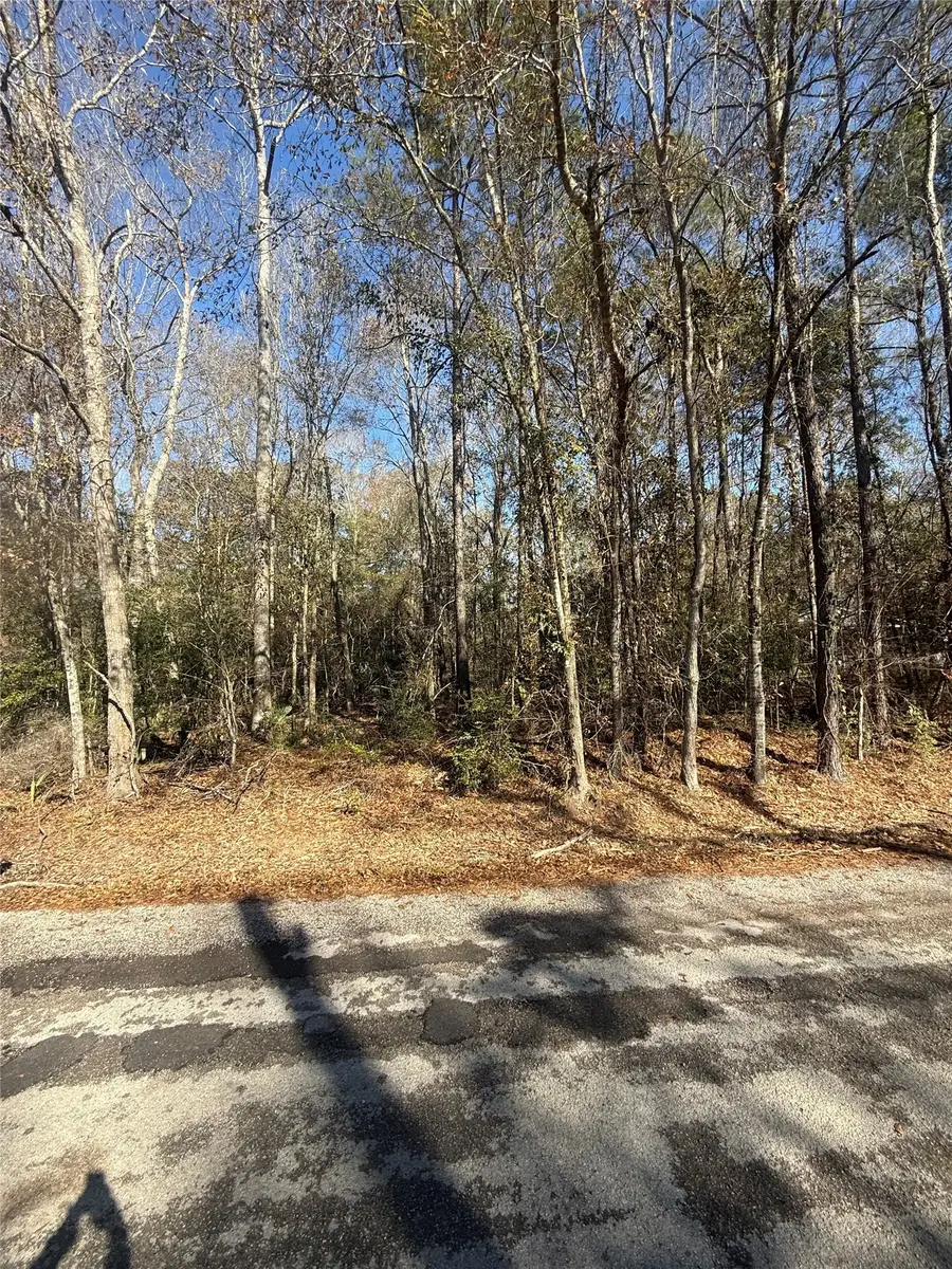 TBD County Road 3669c, Splendora, TX 77327 - #3