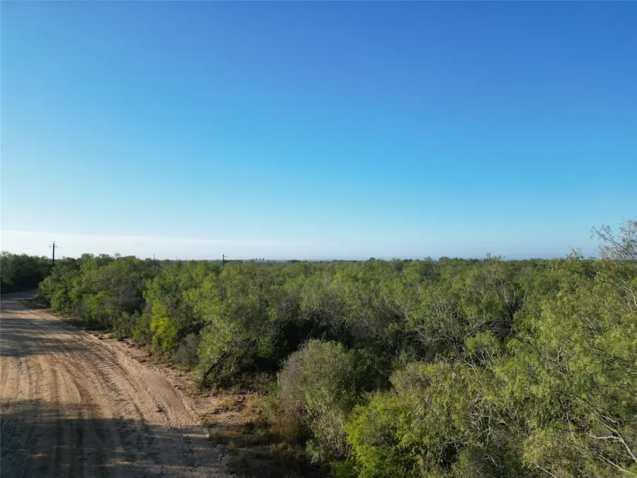 2743 County Road 2743, Moore, TX 78057 - #3