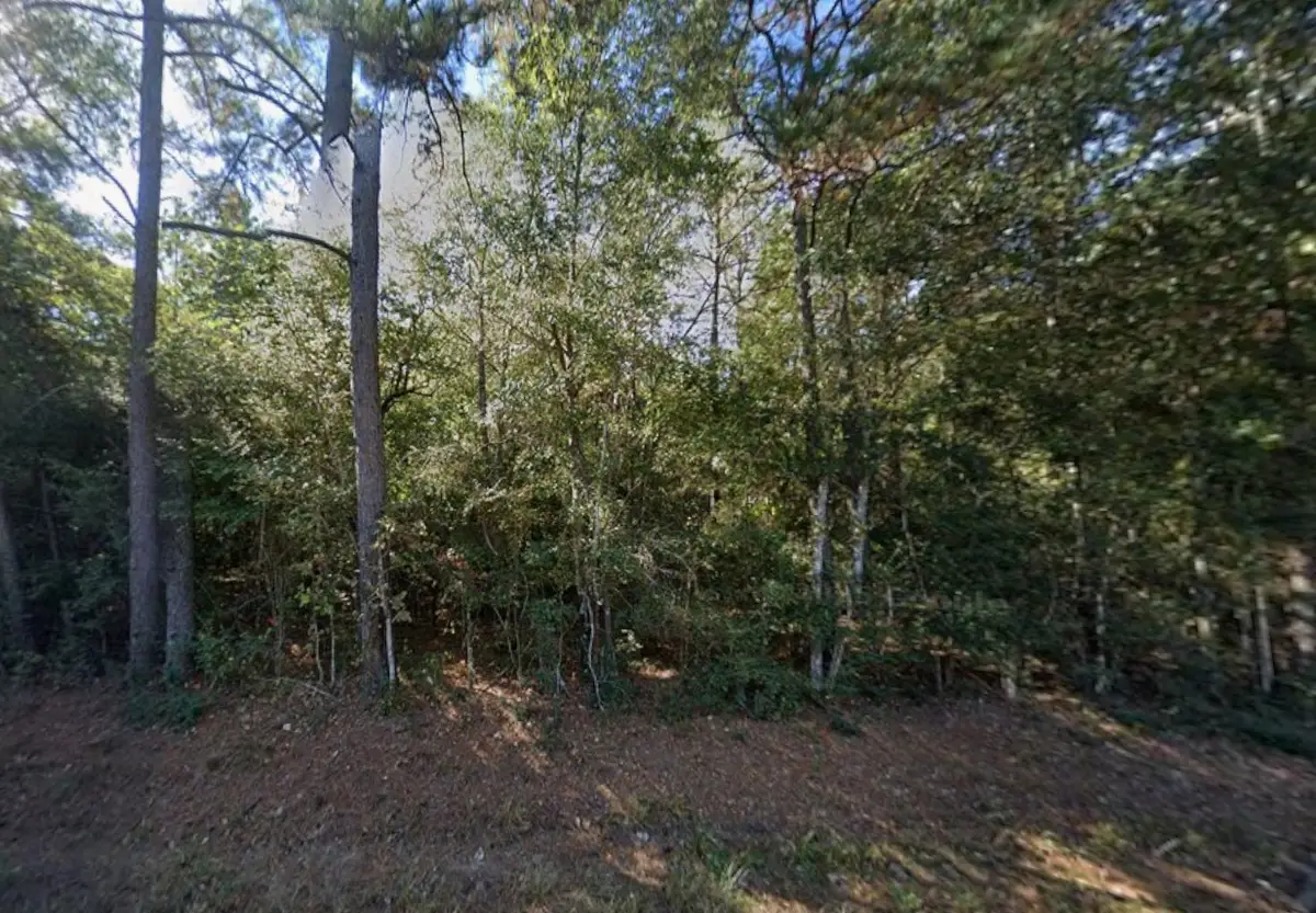 28332 Kyle Road, Waller, TX 77484 - #1