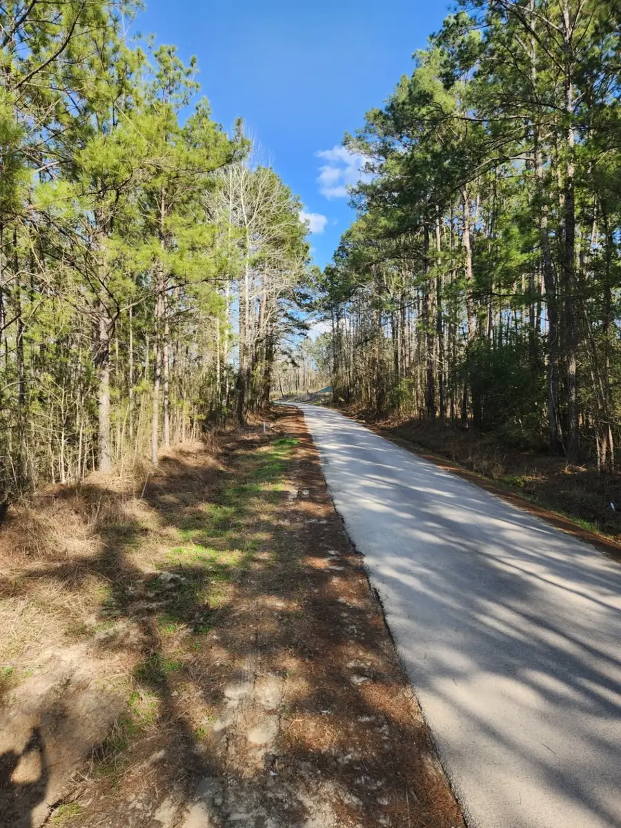 1037 Counts Rd, Point Blank, TX 77364 - Image #2