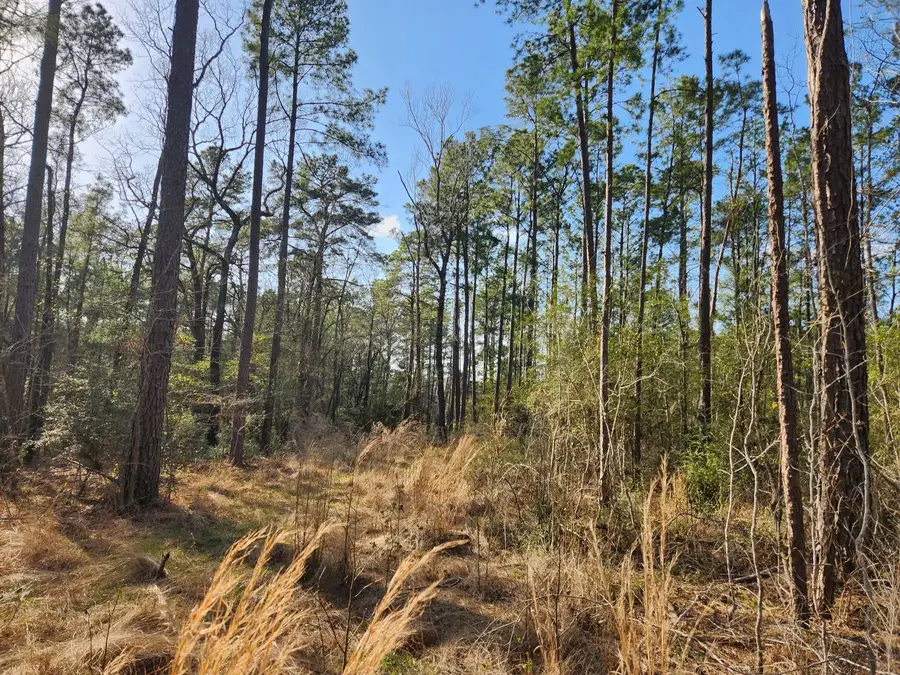 1037 Counts Rd, Point Blank, TX 77364 - Image #3