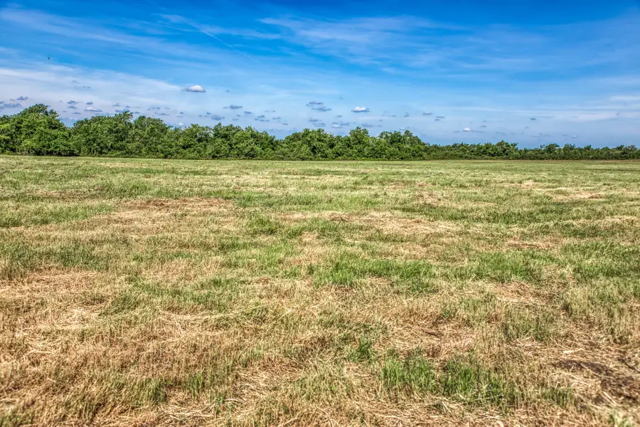 Tract 2 - 8145 Fm 390 E, Brenham, TX 77833 - #3