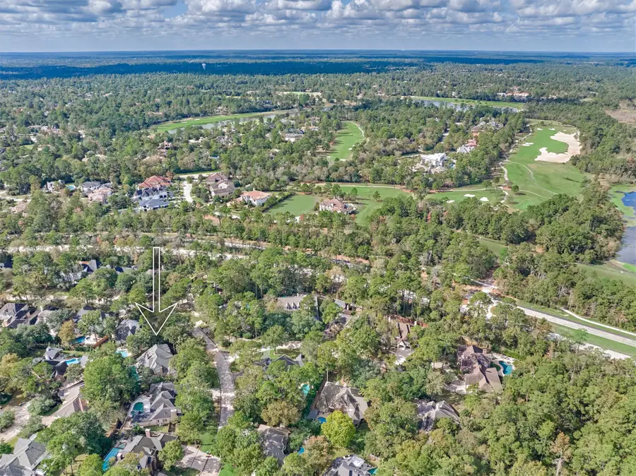 95 Wind Ridge Circle, The Woodlands, TX 77381 - Image #3