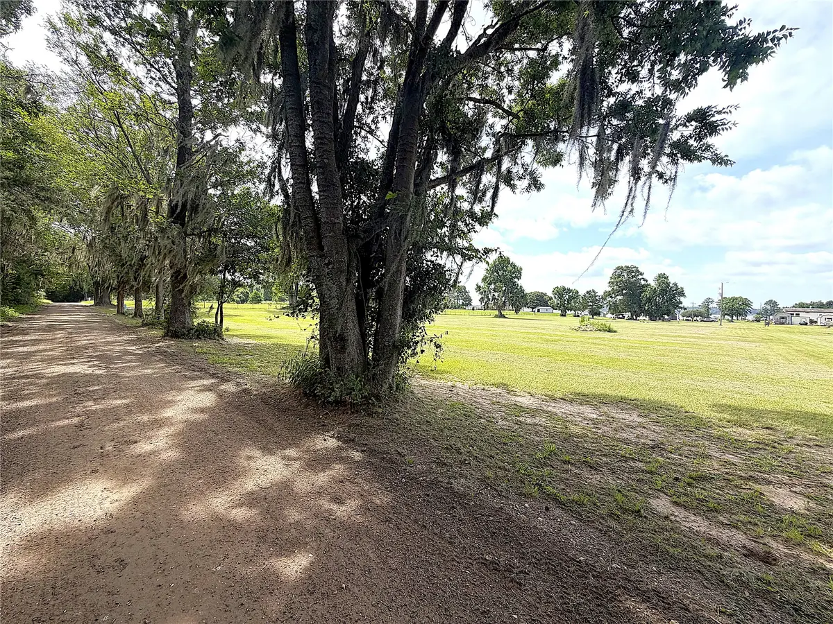247 S Skains Chapel Road, Trinity, TX 75862 - #1