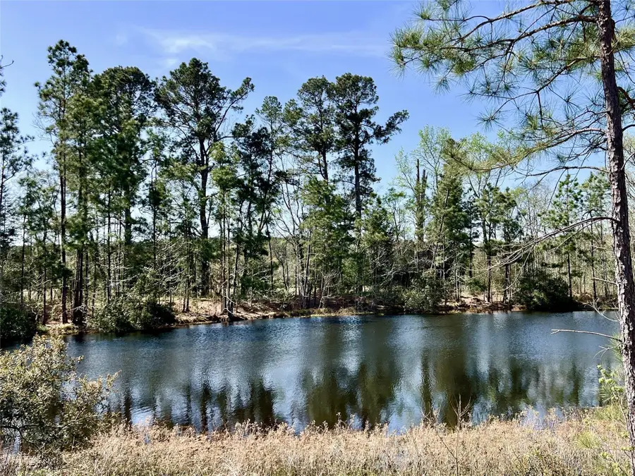 00 Cr 4600, Kennard, TX 75847 - #2