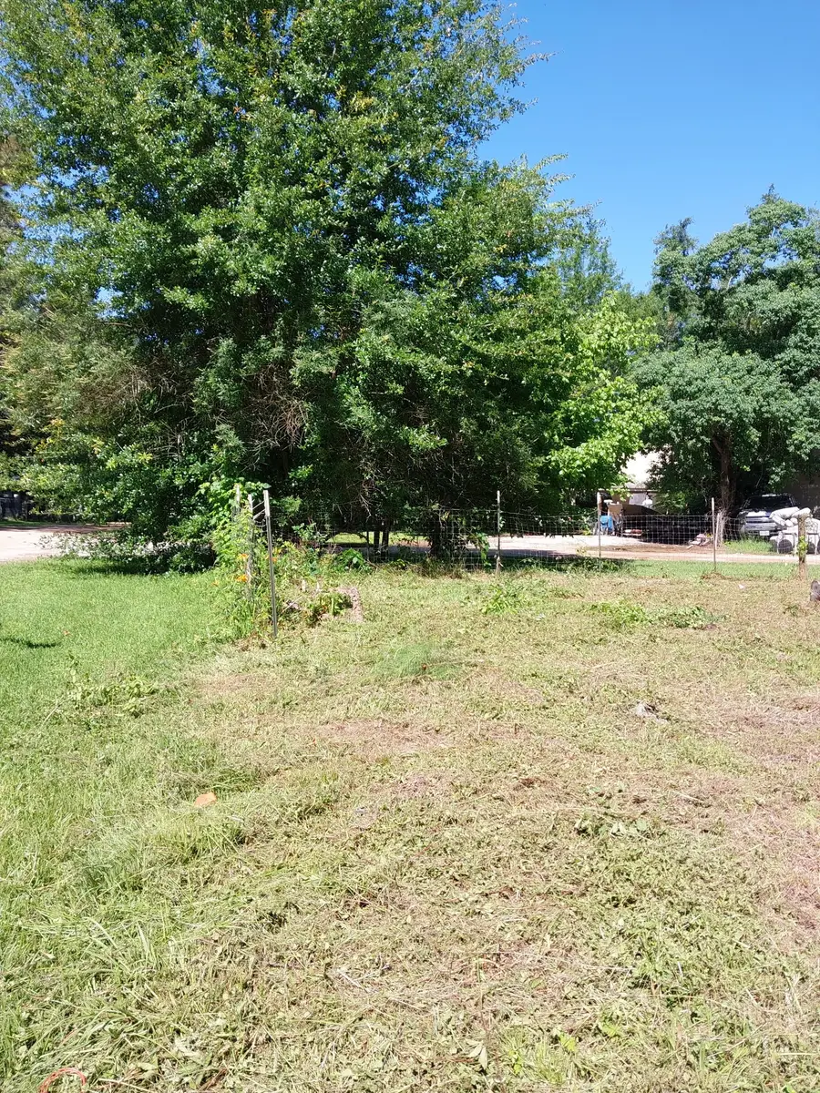 9090 Marigold Street, Willis, TX 77318 - #3
