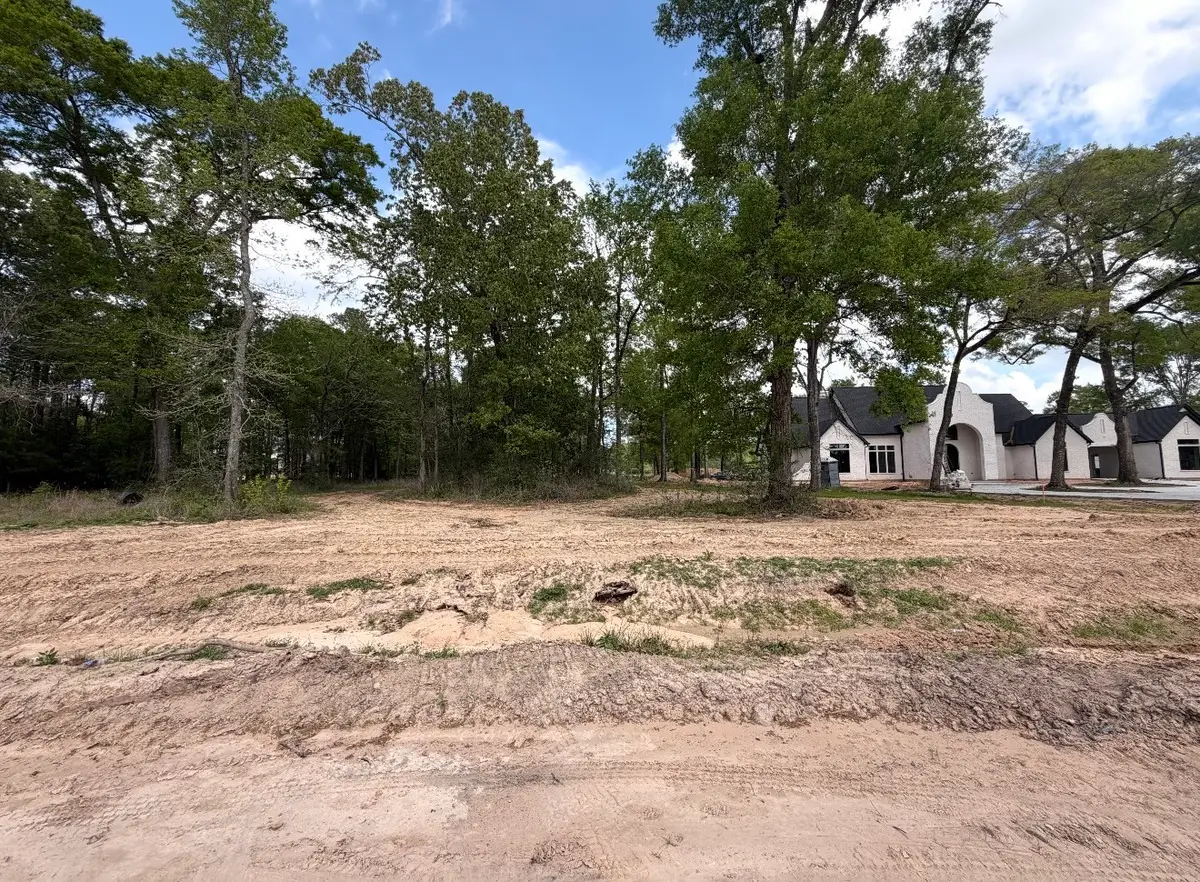 2425 Lonely Creek Circle, Montgomery, TX 77316 - #1