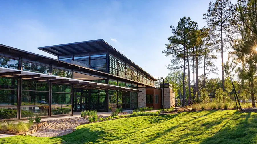 110 Hickory Forest Court, Willis, TX 77318 - #3