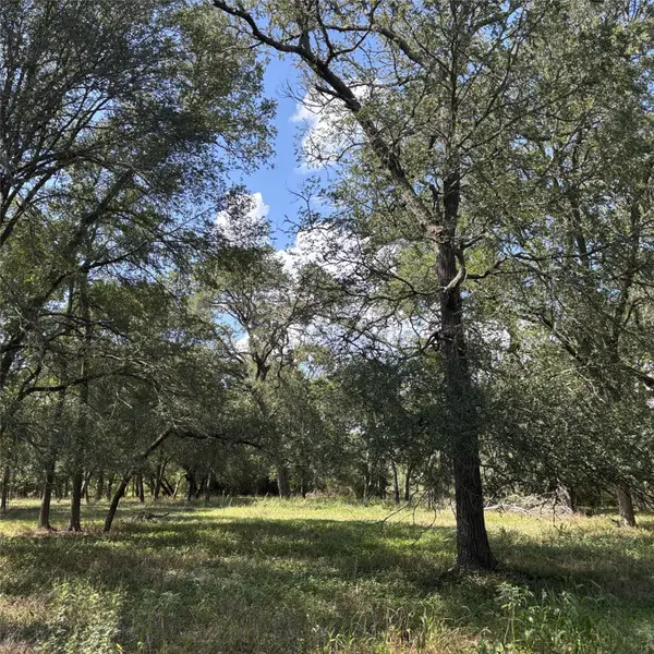 2477 State Highway 159, La Grange, TX 78945