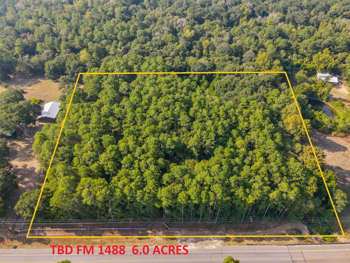 TBD Fm 1488, Magnolia, TX 77355 - #1