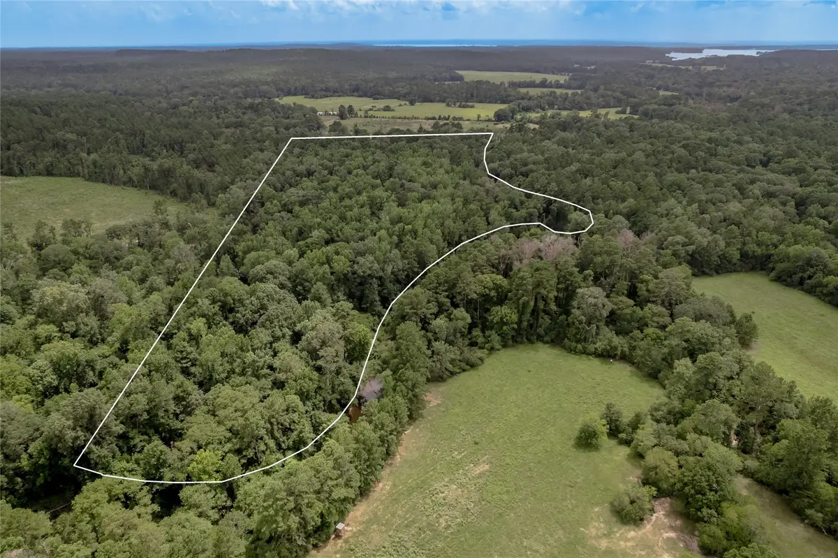 438 Cody Road, Groveton, TX 75845 - #1