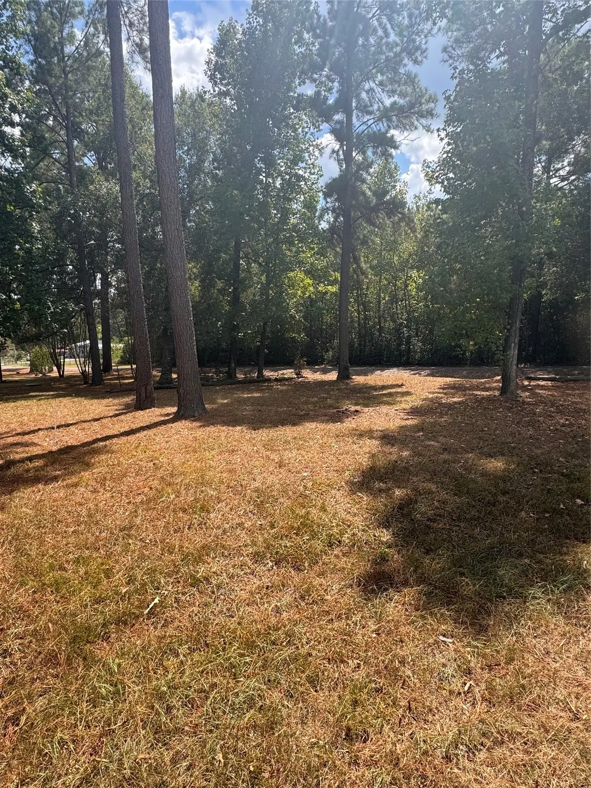 2300 County Road 2134, Cleveland, TX 77327 - #1