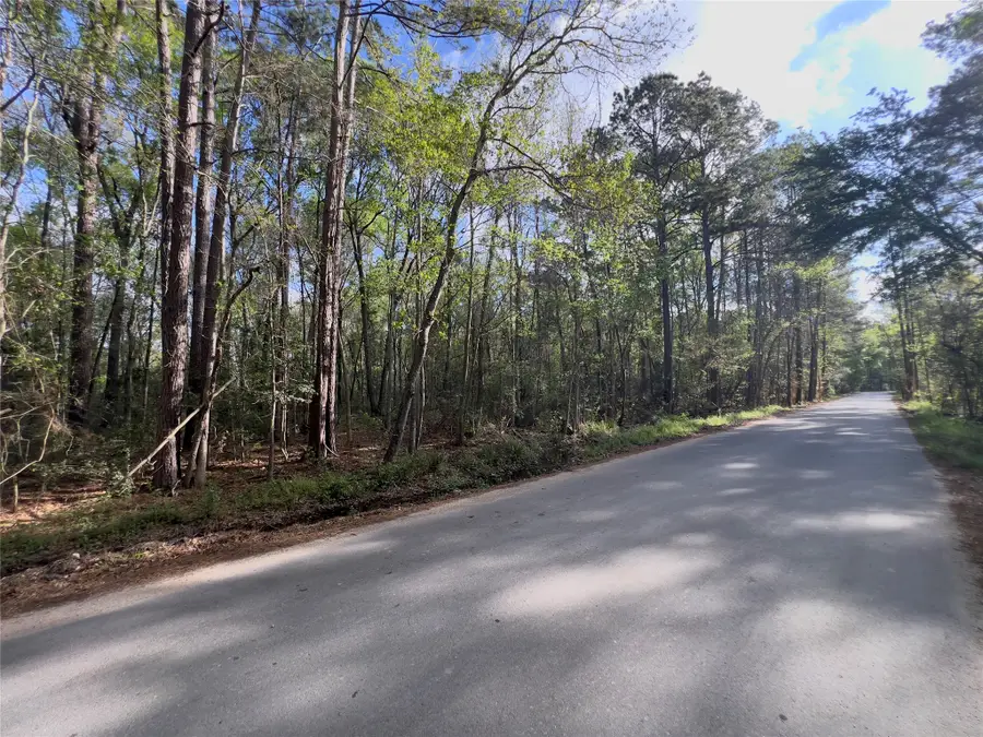 25597 Northampton, New Caney, TX 77357 - #3