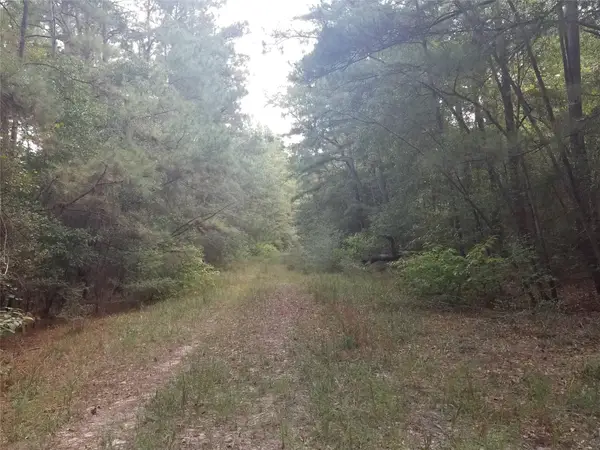 R16902 (Lot 9) Medicine Man Circle, Hempstead, TX 77484