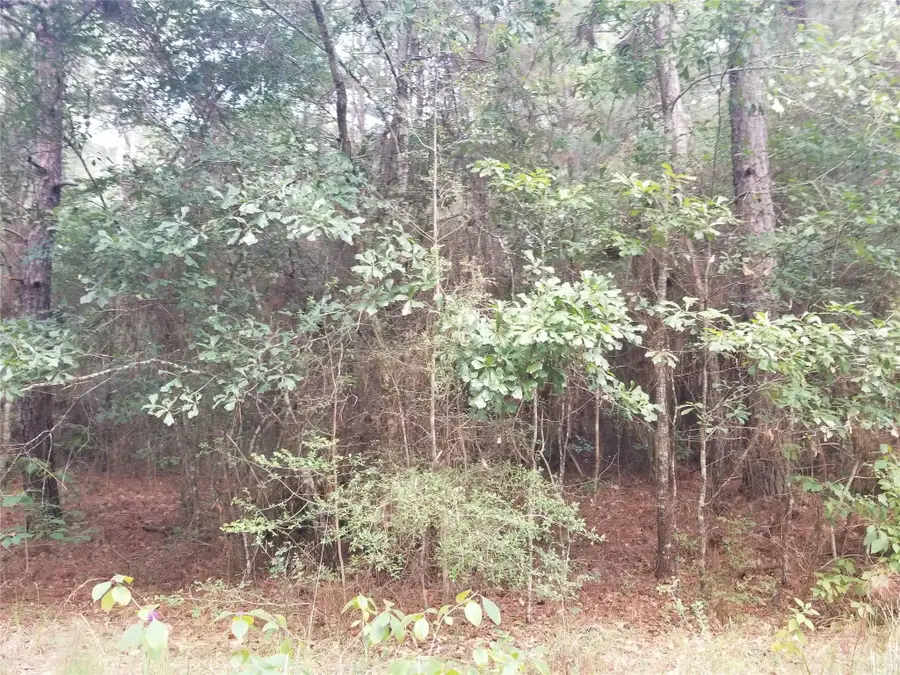 R16902 (Lot 9) Medicine Man Circle, Hempstead, TX 77484 - #2