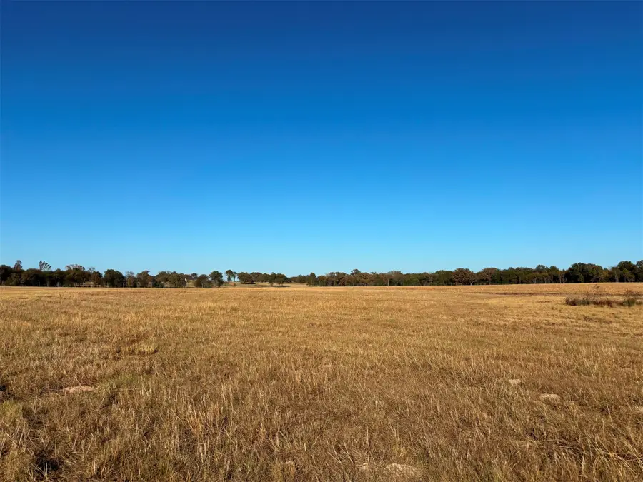 000 Fm 1653, Ben Wheeler, TX 75754 - Image #2