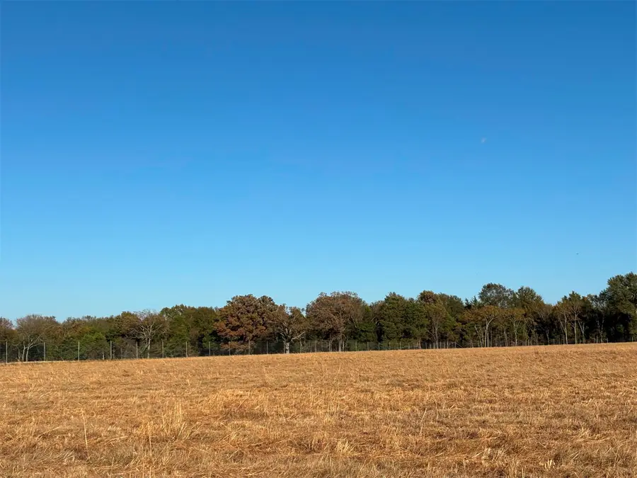 000 Fm 1653, Ben Wheeler, TX 75754 - Image #3