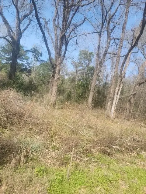 0 Tbd River Street Street, Coldspring, TX 77331 - #1