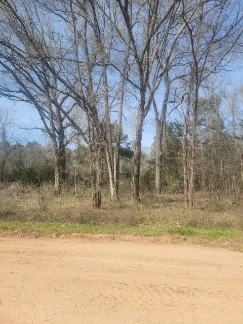0 Tbd River Street Street, Coldspring, TX 77331 - #2