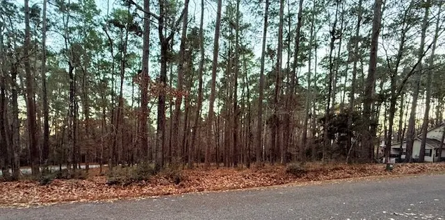 220 & 7 Altwood Drive, Coldspring, TX 77331 - #1