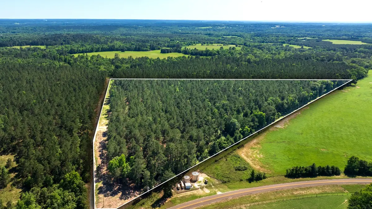 00 00 Fm 3016, Grapeland, TX 75844 - #1
