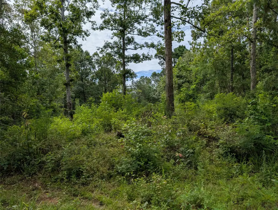 161 Ludies Drive, Livingston, TX 77351 - #2