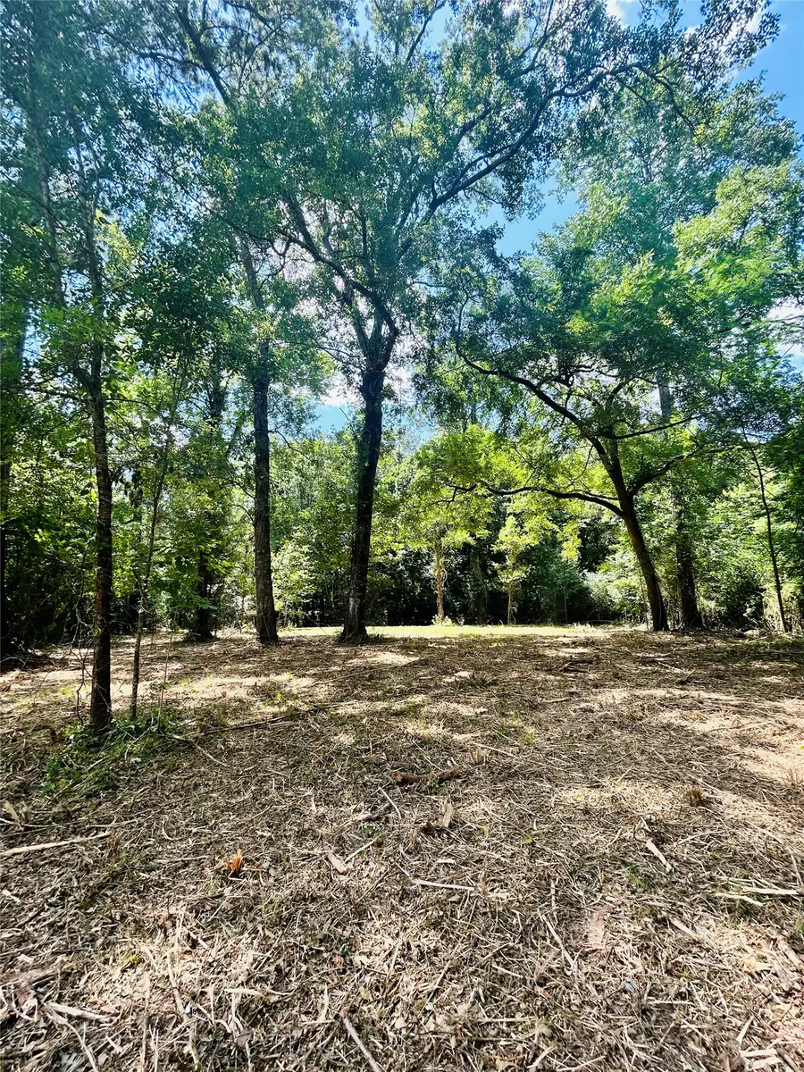 50 G Jock Street, Livingston, TX 77351 - #2