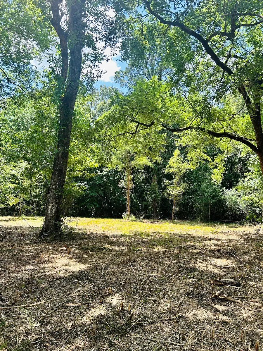 50 G Jock Street, Livingston, TX 77351 - #3