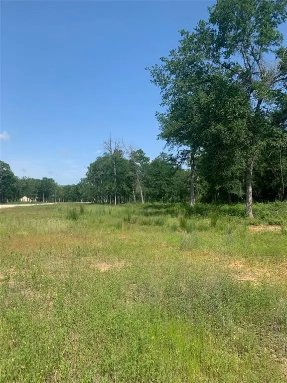 Lot 19 County Rd 389, Jewett, TX 75846 - Image #1