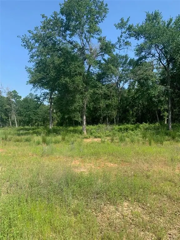 Lot 19 County Rd 389, Jewett, TX 75846 - Image #3
