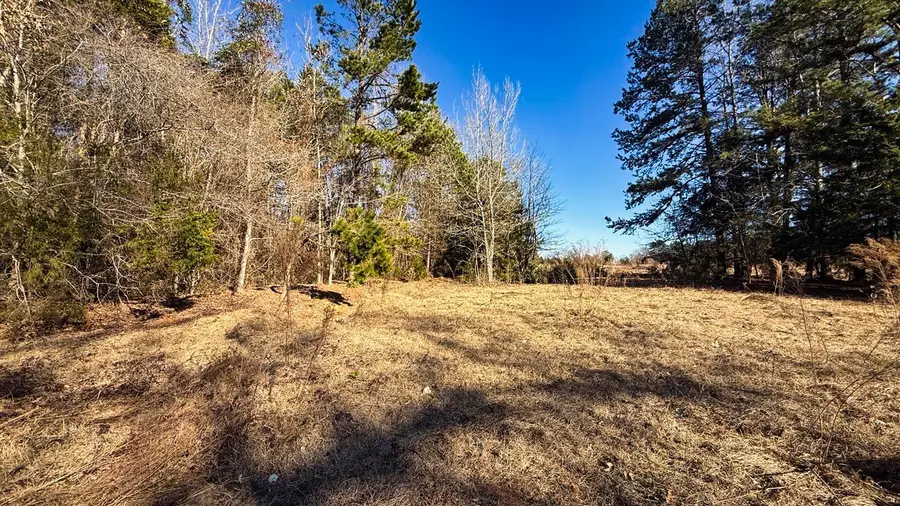 TBD #7 County Road 477, Henderson, TX 75654 - #2