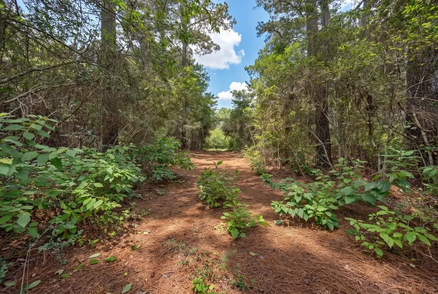 TBA North section 3340 Cr 325, Navasota, TX 77868 - #3